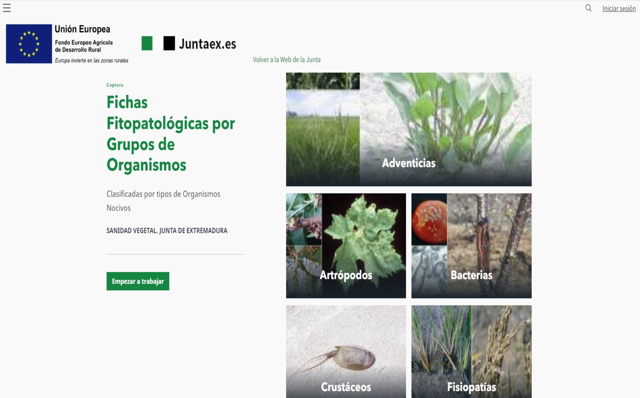 Responsive Image